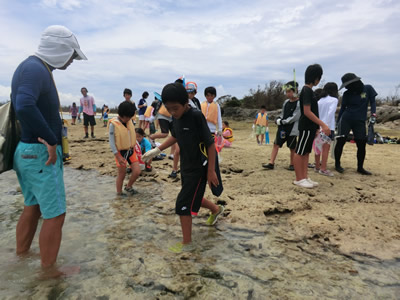 Cコース
