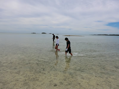 Cコース