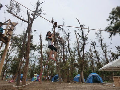 Cコース